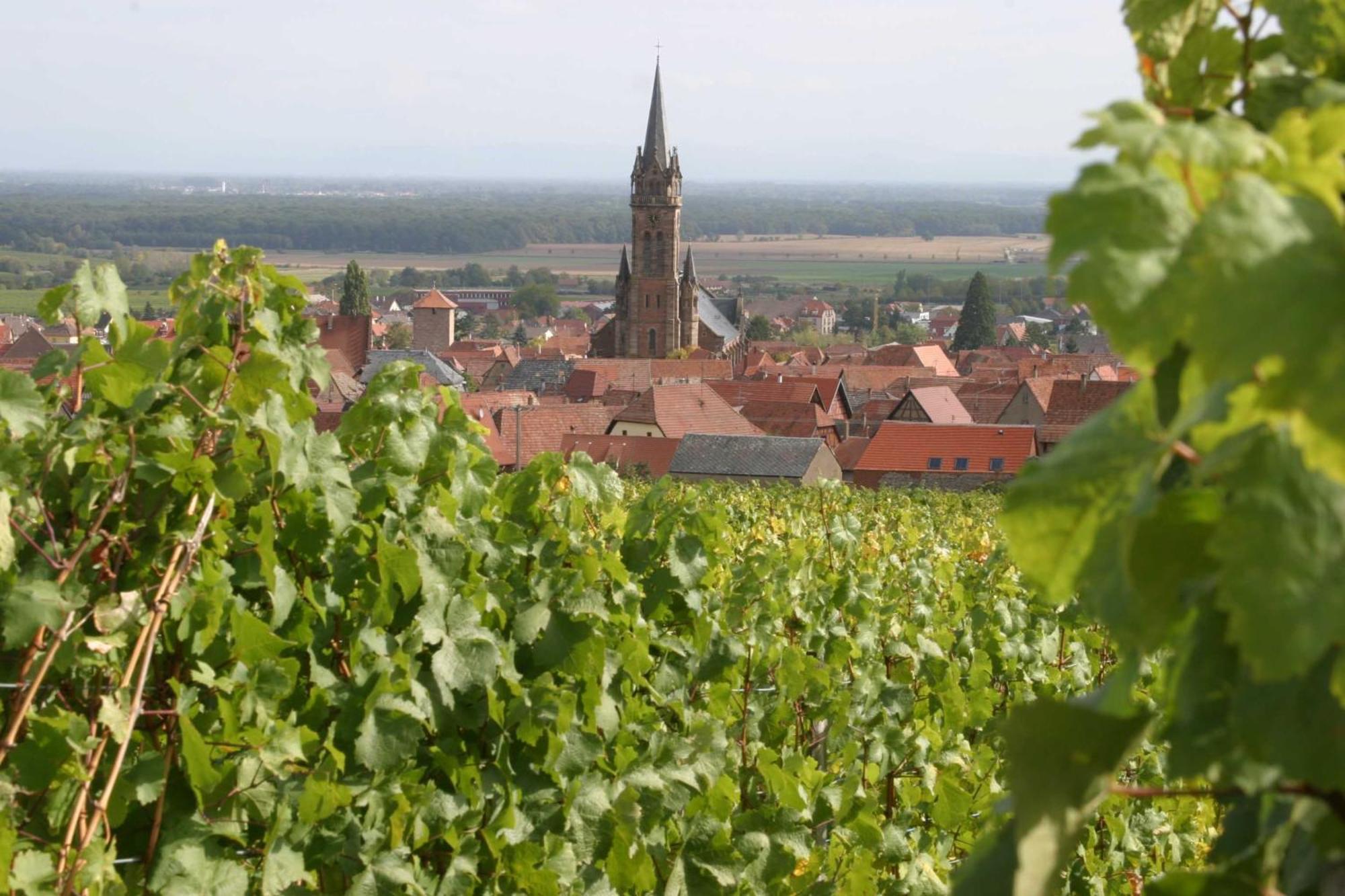 Chambres D'Hotes Ruhlmann Dambach エクステリア 写真